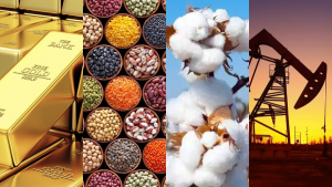 Commodities Trader Republic